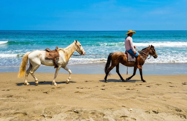 Vichayito playa