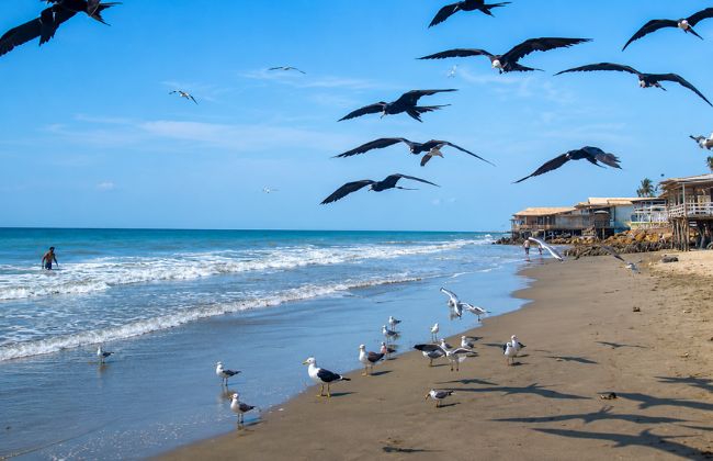 Playa Colán donde queda
